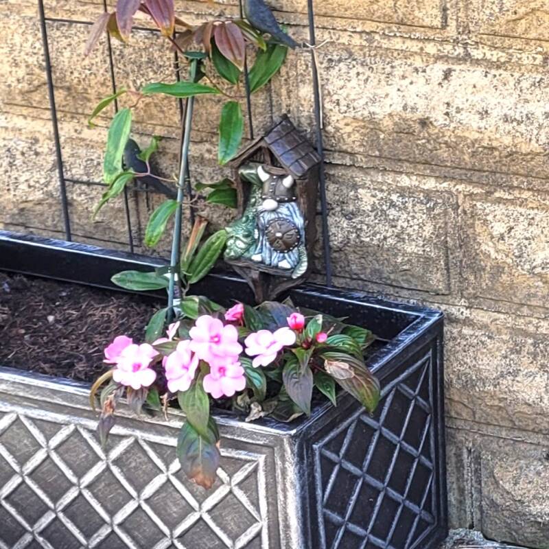 Skrog &amp; Dreki Viking and Dragon Garden Wall Plaque