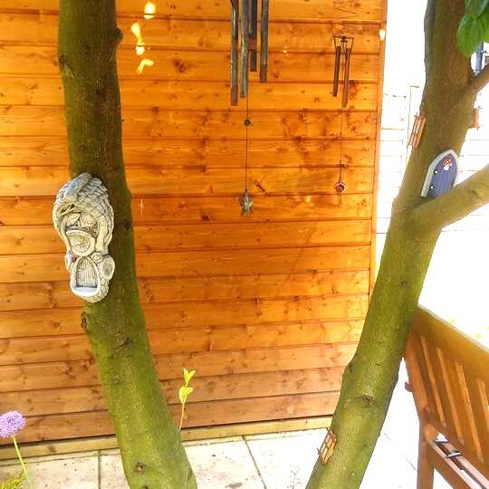 Snorgle Dragon Garden Wall Plaque With LED Nightlight