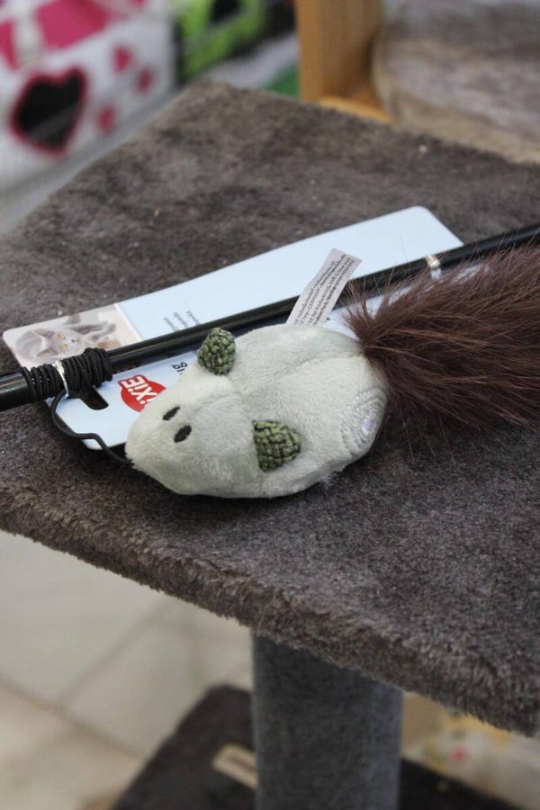 Pluma ratón