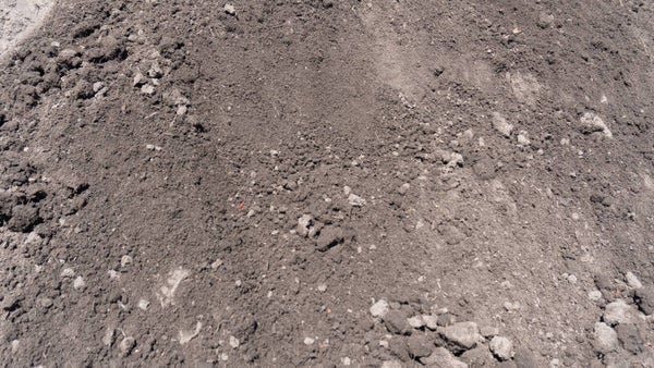 Gezeefde teelaarde verrijkt met compost
