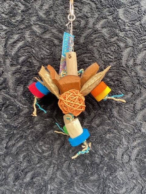 JAVA PARAKEET TOYS0090 - 2