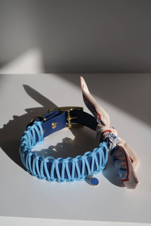 Collar Daisy