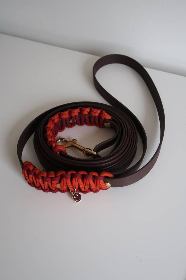 Long walkie leash