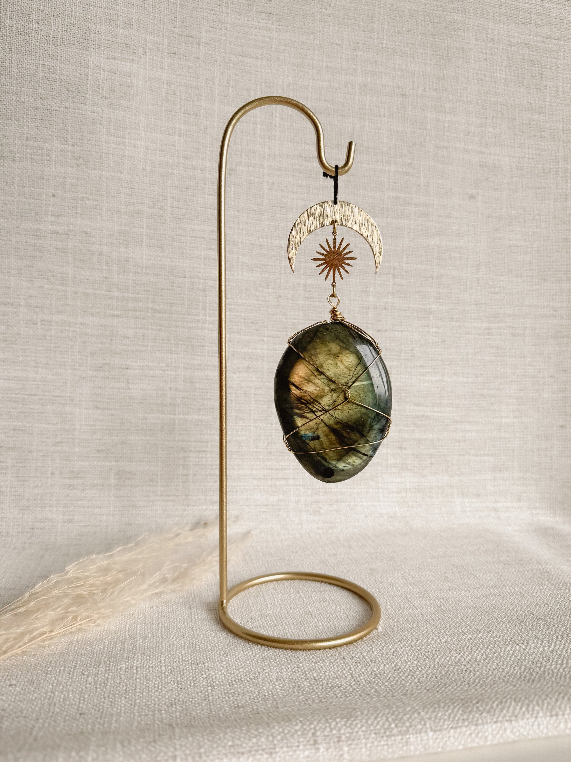 Labradoriet aan houder