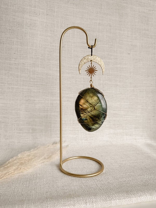 Labradoriet aan houder