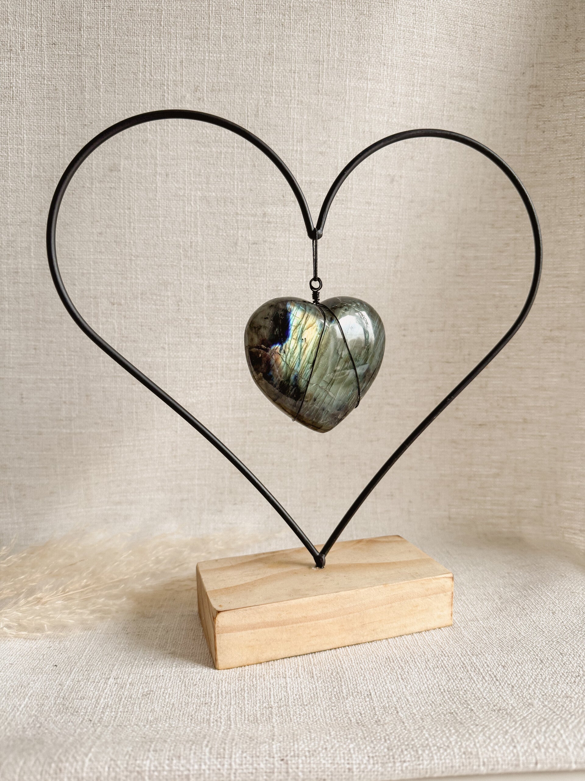 Labradoriet met houder