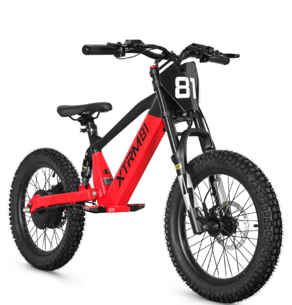 Draisienne électrique pour enfant 36V 500W DX18 ROUGE