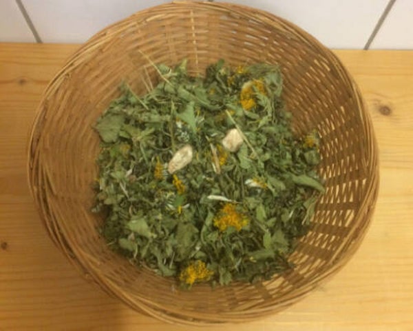 Polderkol lever kruiden 40 gram