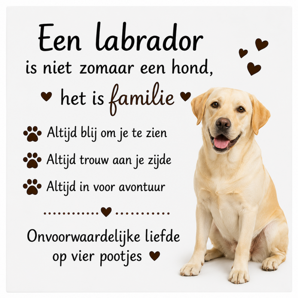 Tegel blonde labrador