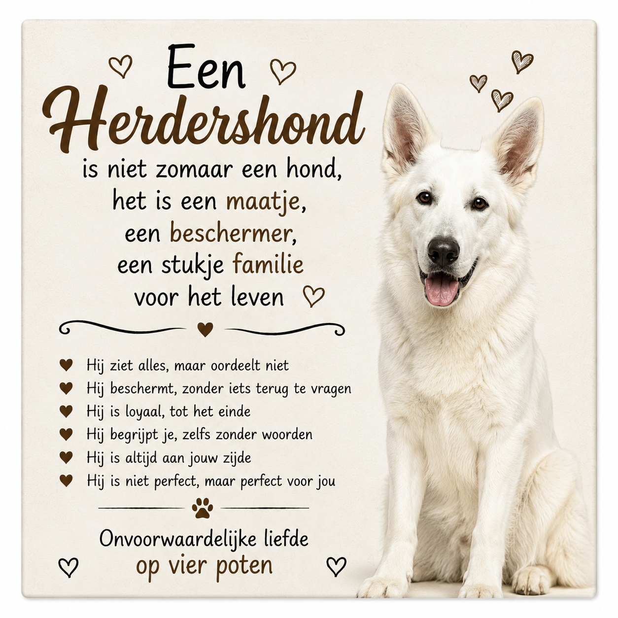 Tegel witte herder