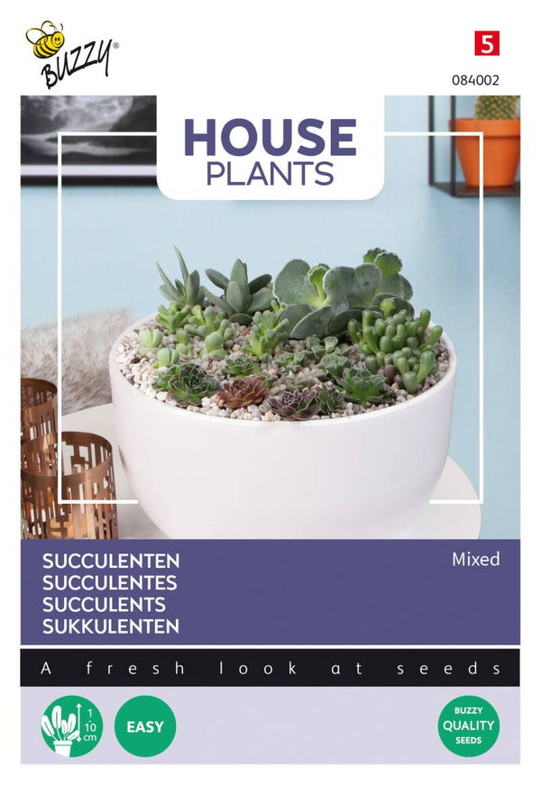 BUZZY | SUCCULENTEN MIX ZADEN
