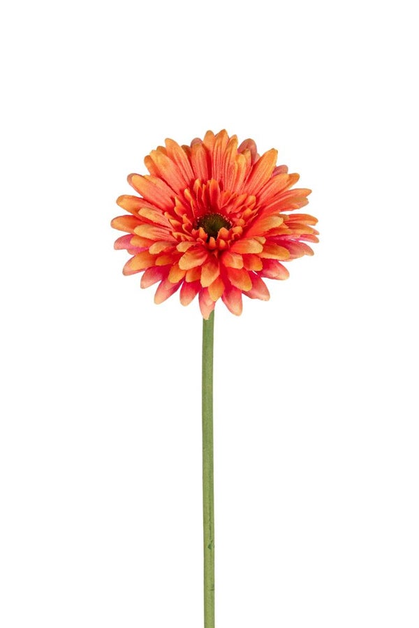 KUNST GERBERA | CORAAL