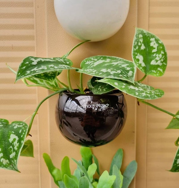 MAGNEETPOTJE | CLASSIC