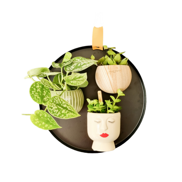 MAGNETISCH BORD | ZWART | MET LEREN OORTJE