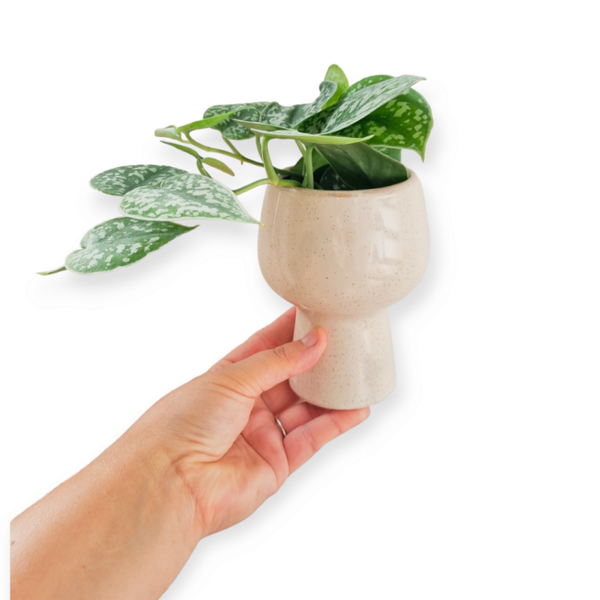 POT OP VOET | MUNDY | OFF WHITE