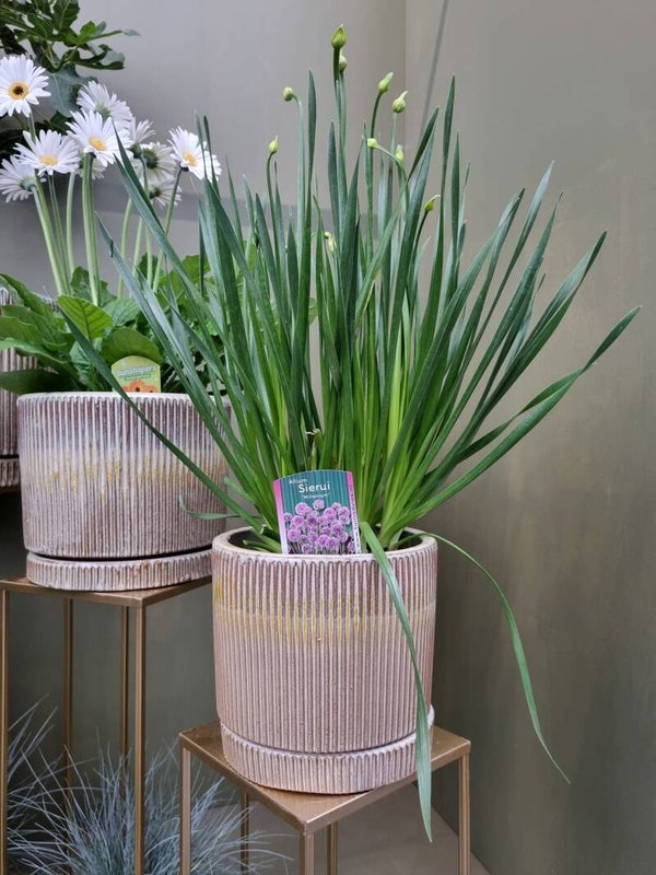 POT | RIBBEL | KERAMIEK | NATURAL | 20 CM