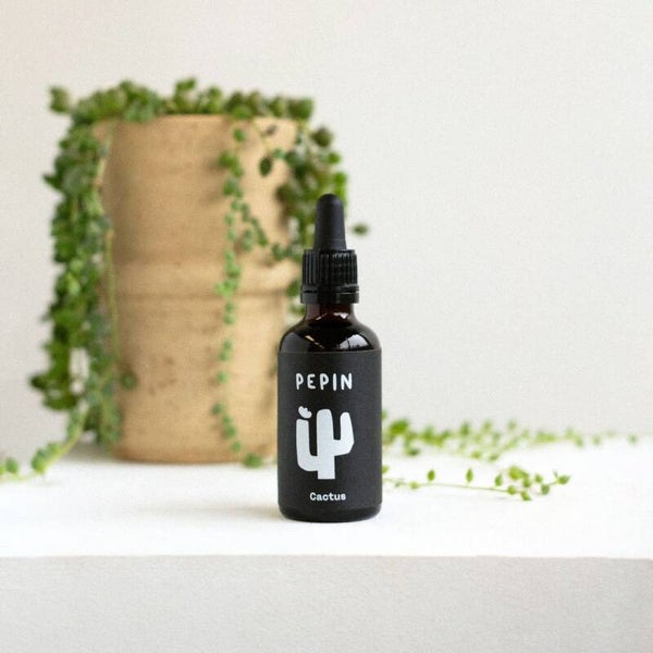 PLANTEN-VOEDING | CACTUSSEN & VETPLANTEN | 50 ML