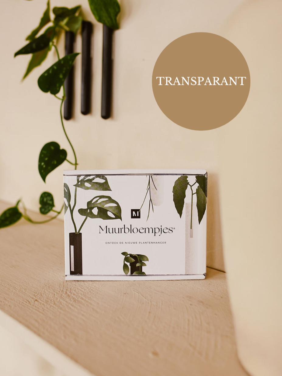 MUURBLOEMPJE | VAASJE MAGNEET TRANSP. | 3 PACK