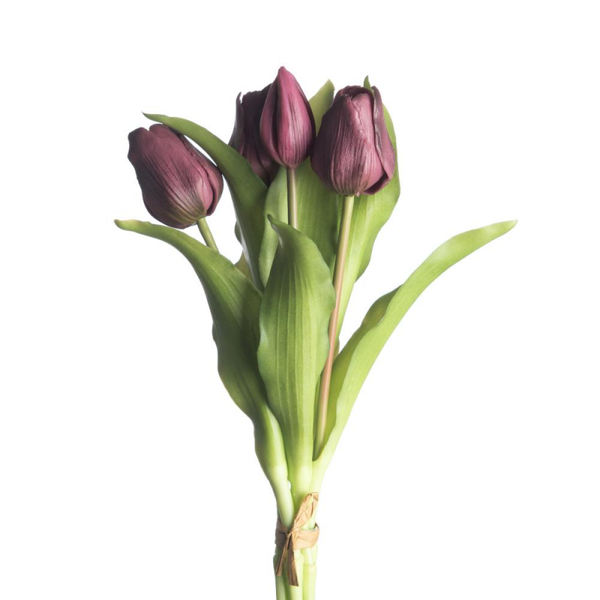 REAL TOUCH TULPEN| BUNDLE | 5 STUKS | 31 CM | AUBERGINE