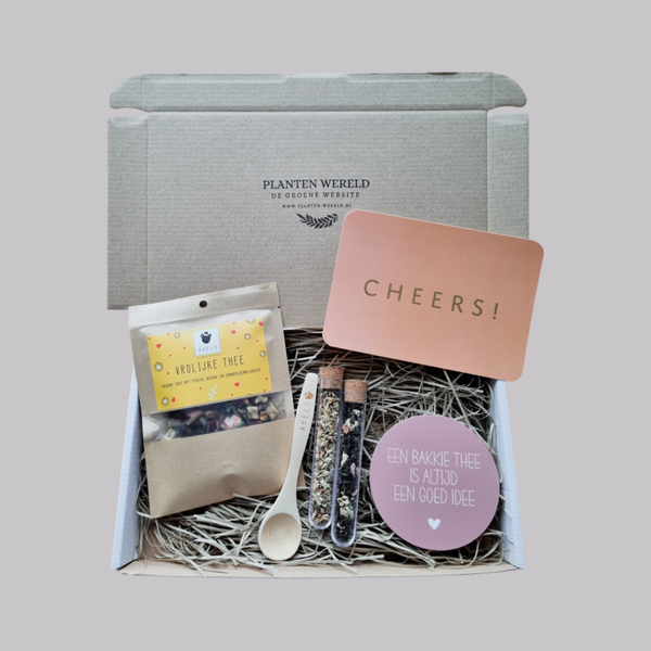 BRIEVENBUS CADEAUBOX | THEE MOMENTJE