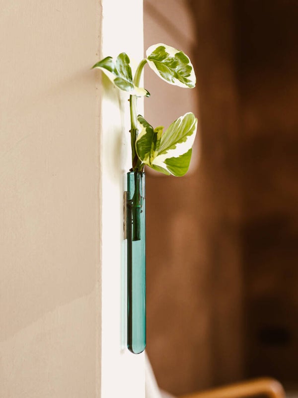 MUURBLOEMPJE | VAASJE MAGNEET | TEAL
