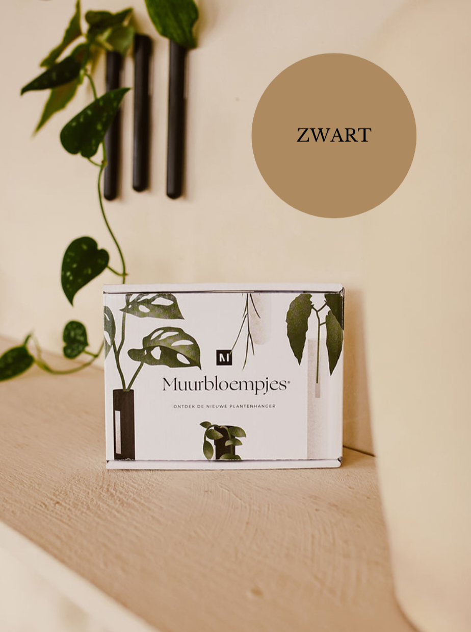 MUURBLOEMPJE | VAASJE MAGNEET ZWART | 3 PACK