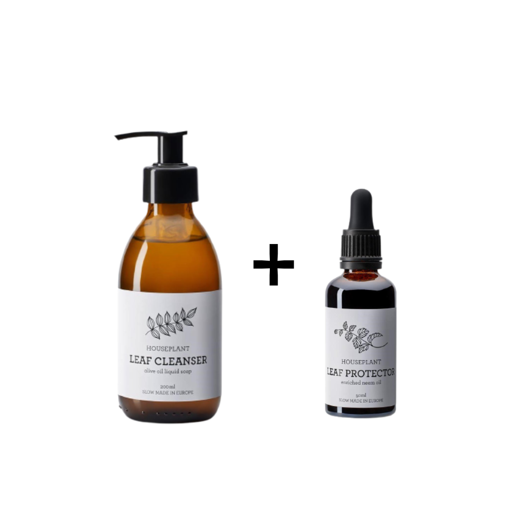 BLADREINIGER + NEEMOLIE