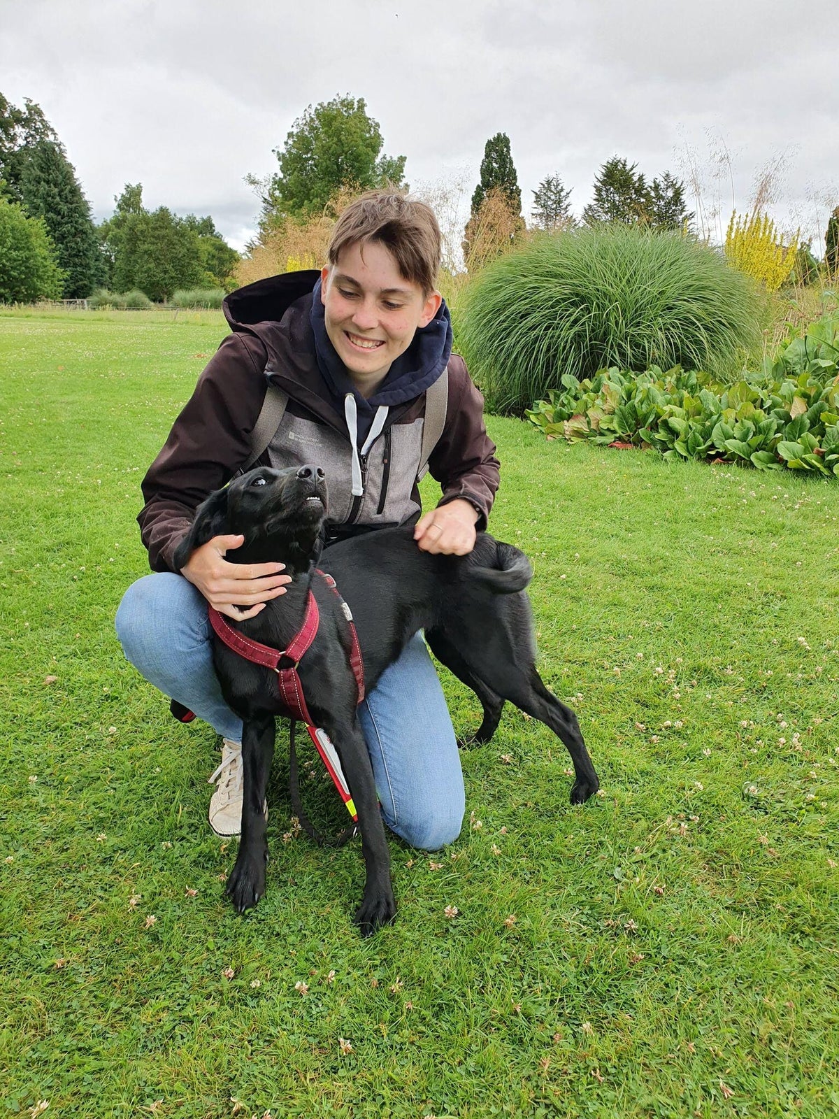 About Us | Infinity Dogs CIC