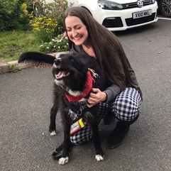 Assistance dog trained by Infinity Dogs with smiling handler