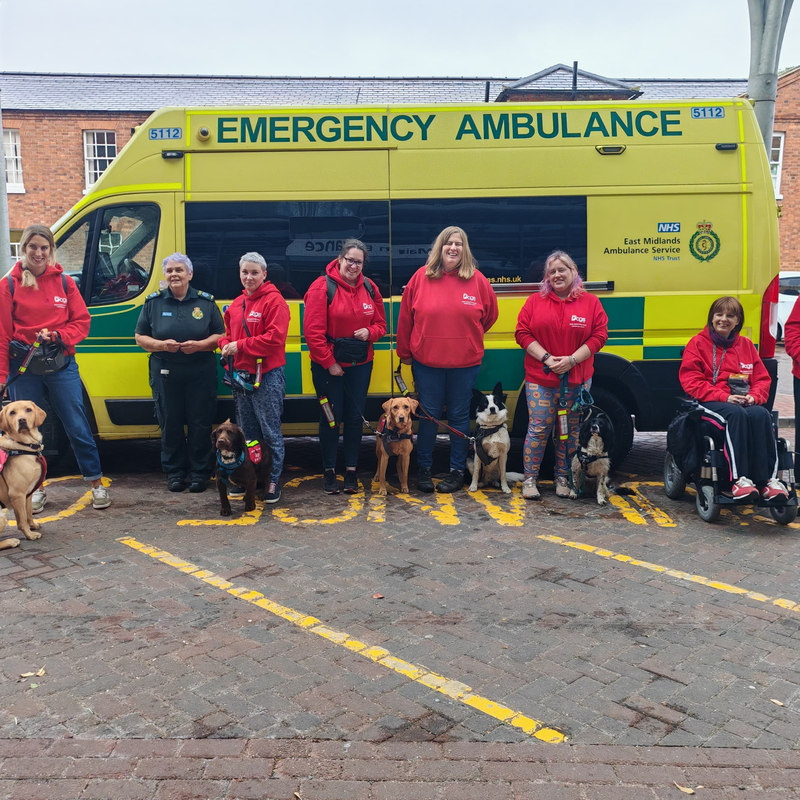 infinitydogs-ambulance-group-2-standard.png