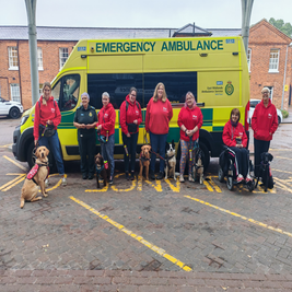 infinitydogs-ambulance-group-2-standard.png