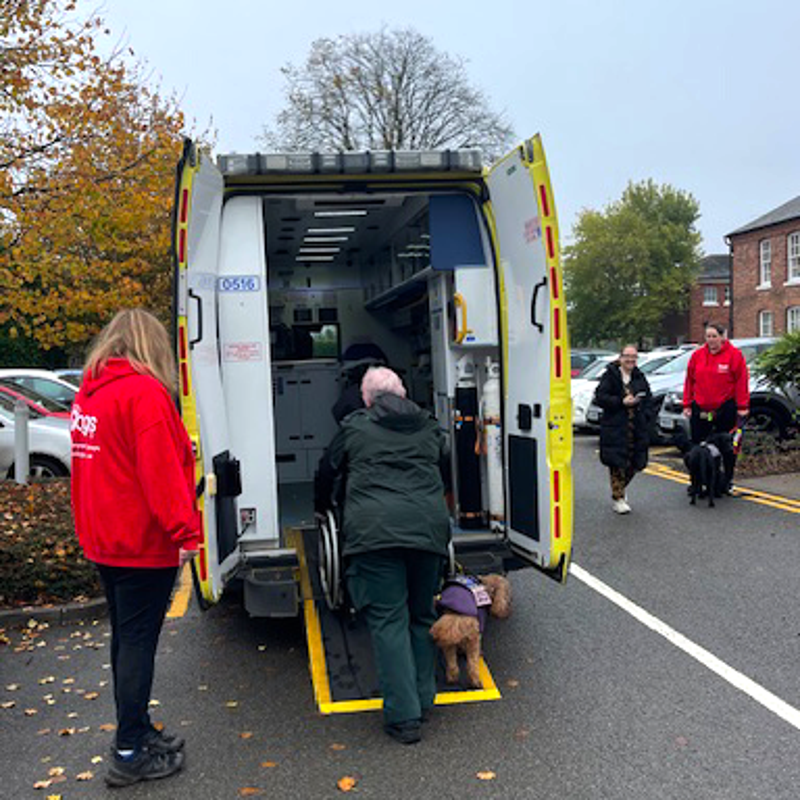 infinitydogs-ambulance-ramp-standard.png