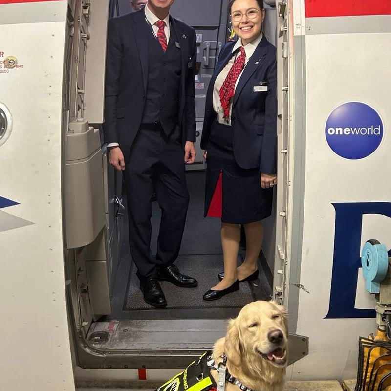 infinitydogs-assistance-dog-ba-standard-cp2bf0.jpg