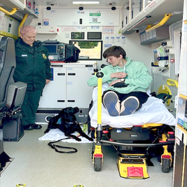 infinitydogs-black-lab-in-ambulance-standard-lnedqw.png
