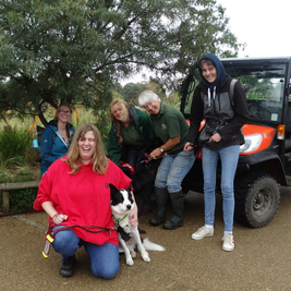 infinitydogs-cotswold-visit-standard.png