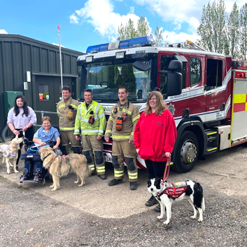infinitydogs-fire-service-standard-msf5fr.png