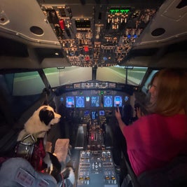 infinitydogs-flight-simulator-ruby-milo-standard.jpg