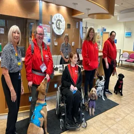 infinitydogs-group-hospital-standard-z6mvr9.webp