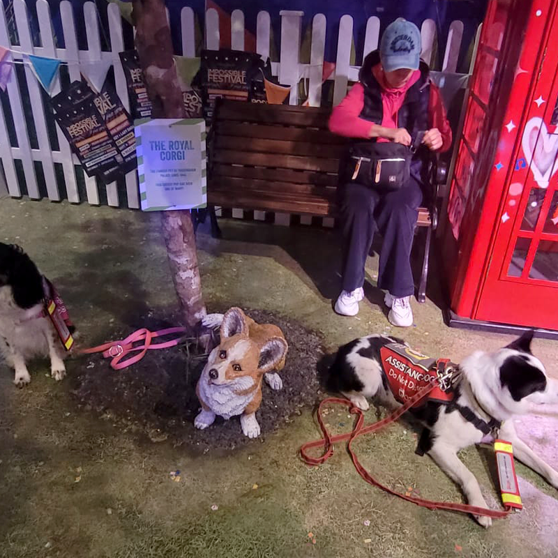 infinitydogs-madame-tussauds-corgis-standard-izfxg9.png