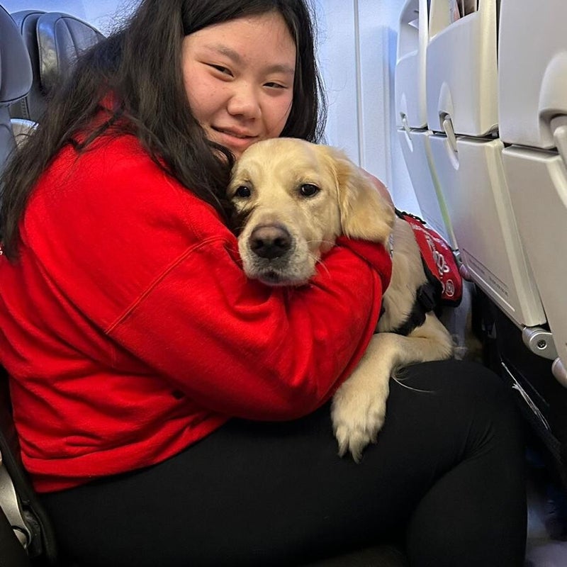 infinitydogs-mia-koda-ba-flight-standard.jpg