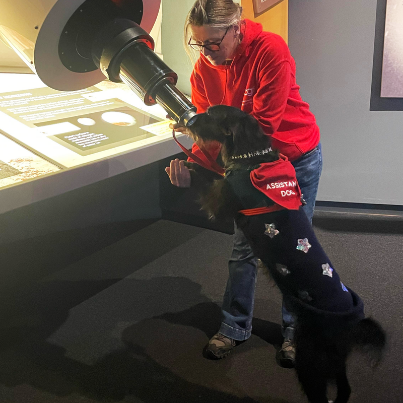 infinitydogs-national-space-centre-5-standard-neqmge.png