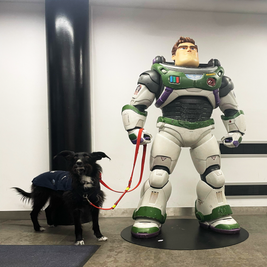 infinitydogs-space-centre-betsy-buzz-lightyear-standard.png