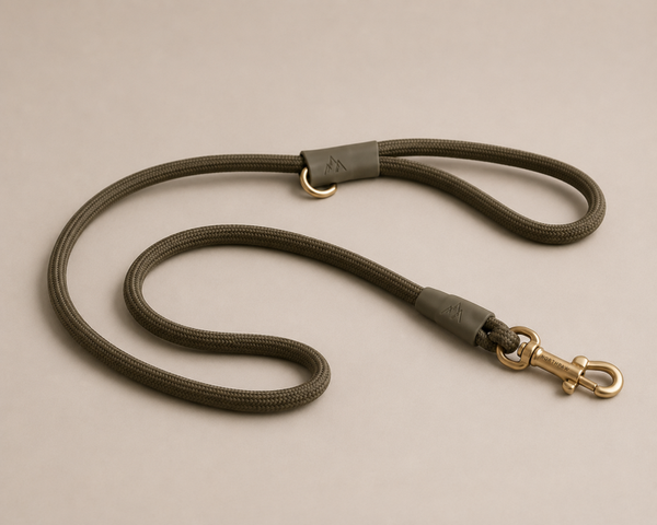 Coastal Summit Leash