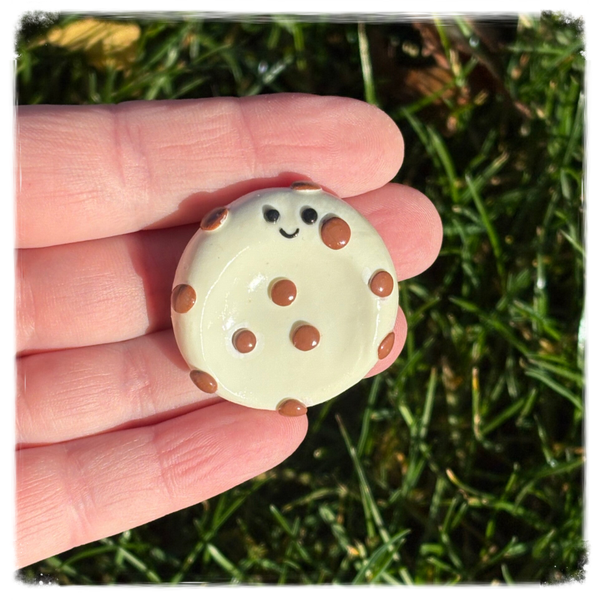 Vanilla Chocolate Chip