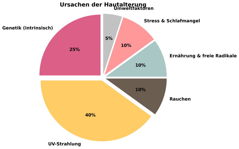 Ursachen der Hautalterung