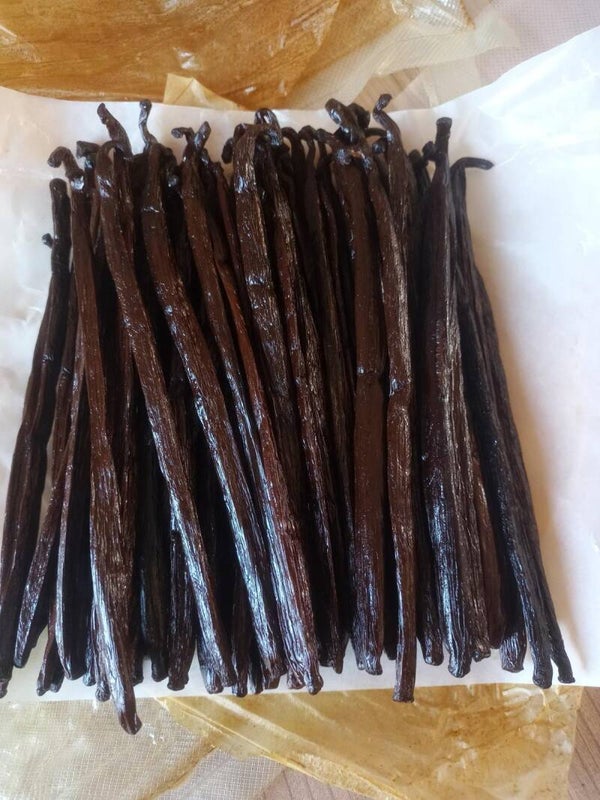 Gourmet Madagaskar Vanillebonen 16–20 cm prijs per kg