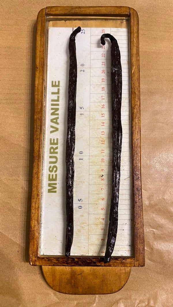 Extra Grote Vanillestokjes uit Madagaskar – 20 cm+