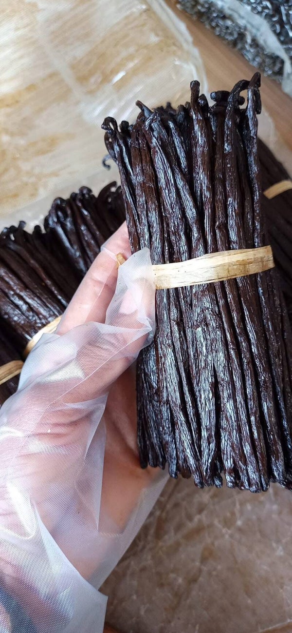 Bourbon Vanillestokjes uit Madagaskar – Premium Kwaliteit (14–16 cm) prijs per stokje