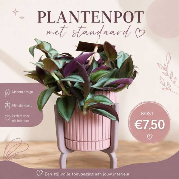 Plantenpot met standaard