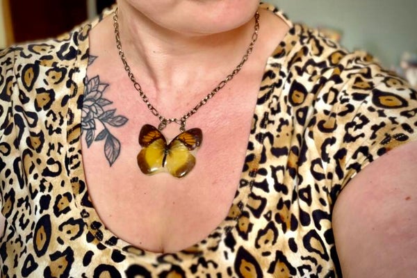 Real Preserved Butterfly Pendant Necklace on Bronze Chain